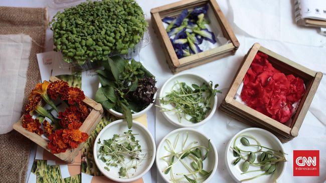 Clubnet Digital Clubnet Branding Identity Marketing